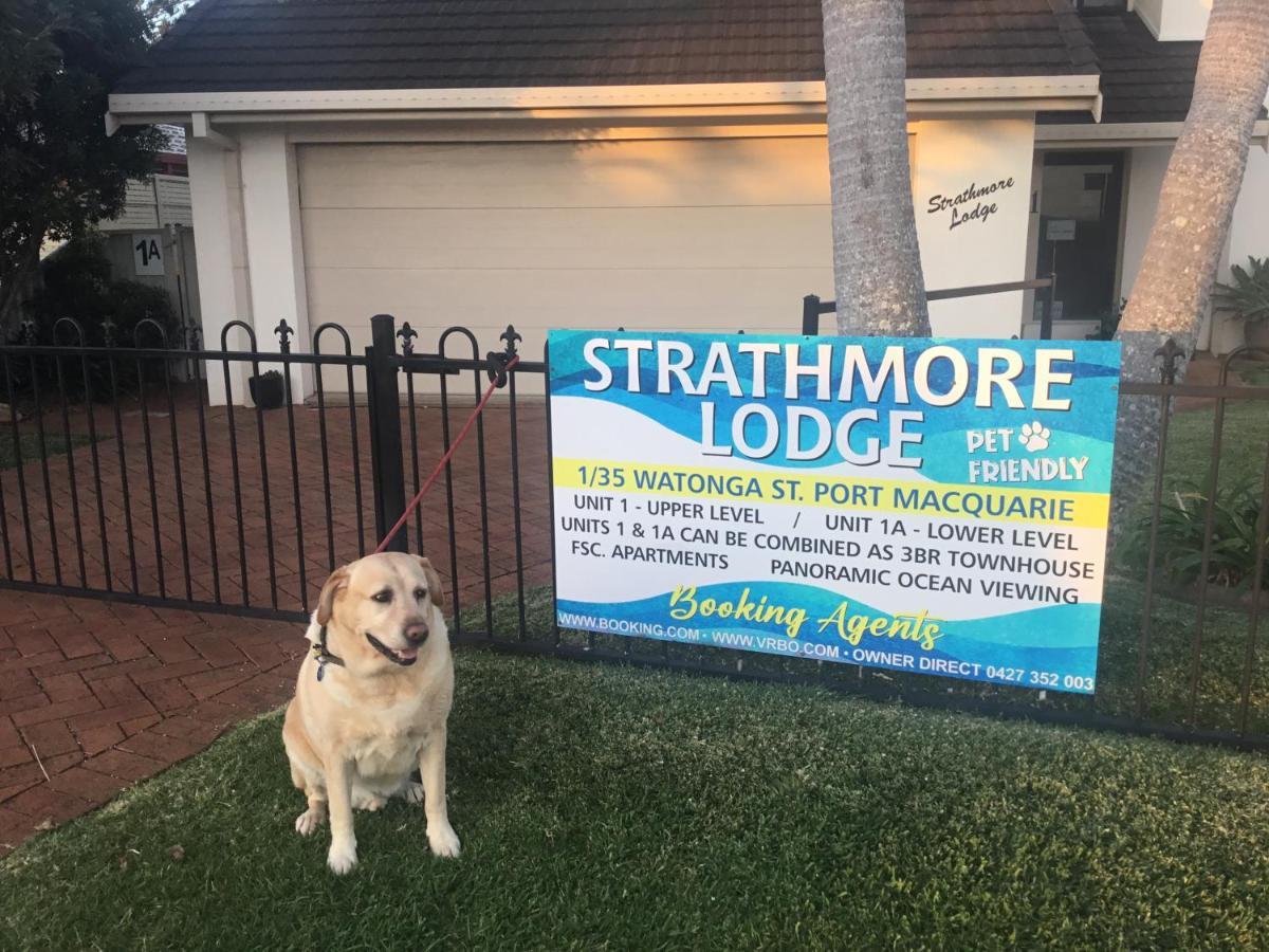 Strathmore Lodge ポート・マッコリー エクステリア 写真